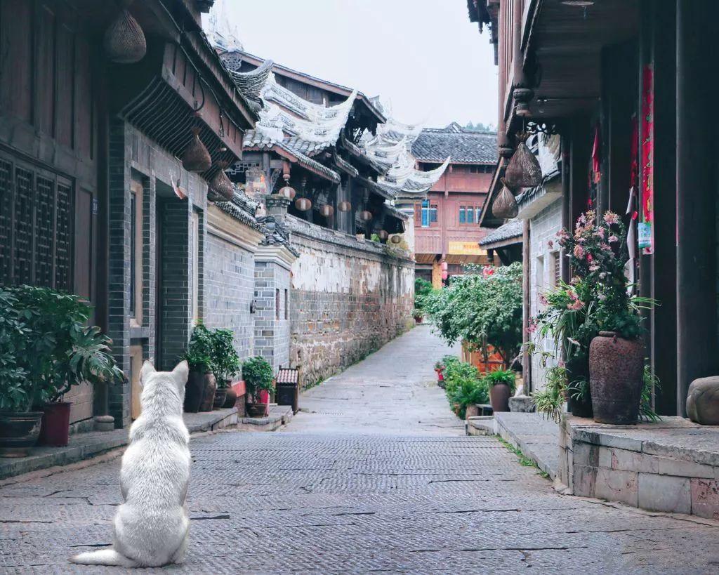 离婚女人再婚是不是很难？游戏画面